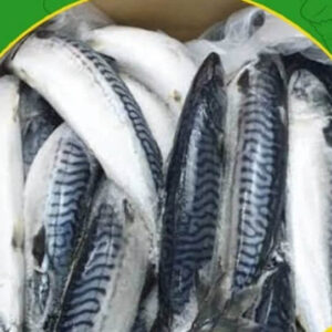 Mackerel Fish (1 carton)