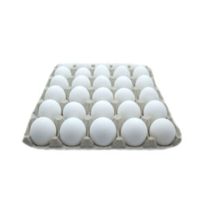 Fresh Organic Eggs