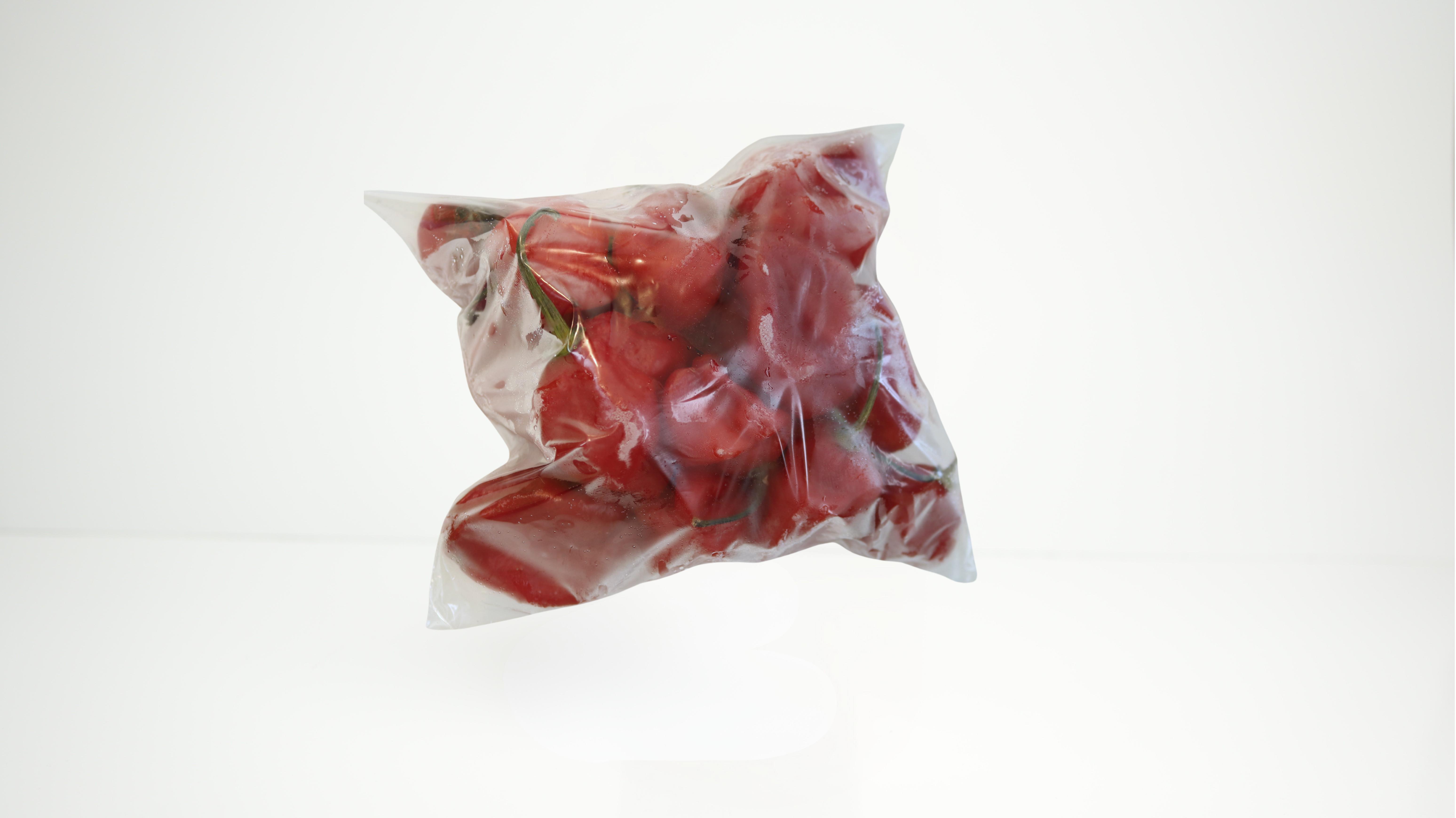 Habanero Pepper